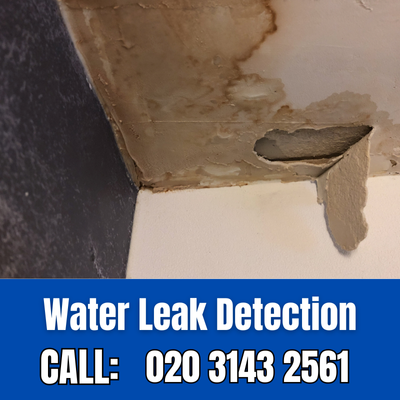 Expert Water Leak Detection Services in Becontree | Becontree Leak Detection